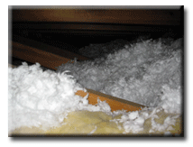 Insulation Image Apopka Home Inspection