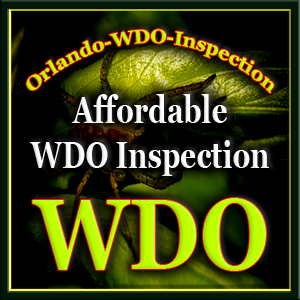 Orlando WDO inspection